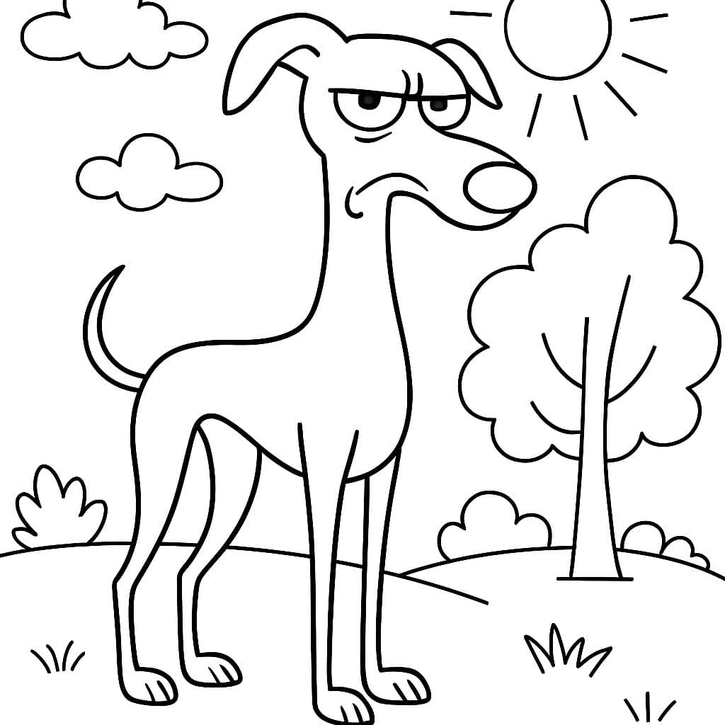 ein schlanker, hoher Greyhound-Hund, der mürrisch aussieht
