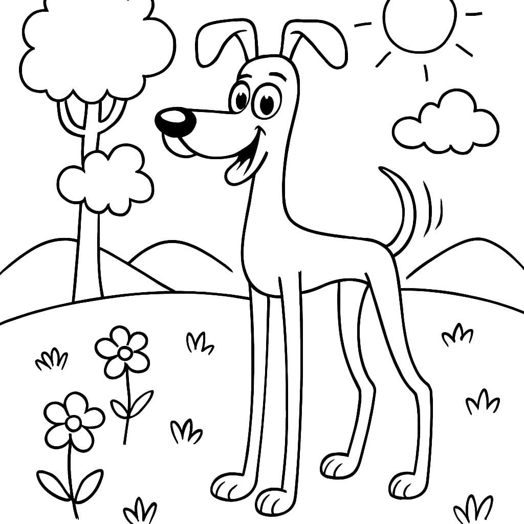 perro alto y delgado con patas largas (pero lindo)