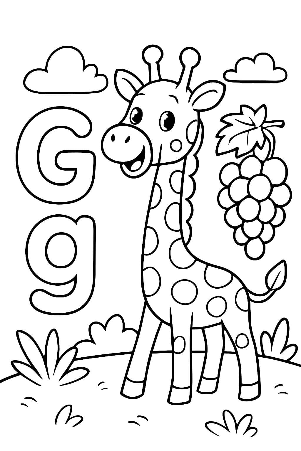 La lettre majuscule G et la lettre minuscule g avec une girafe et des raisins