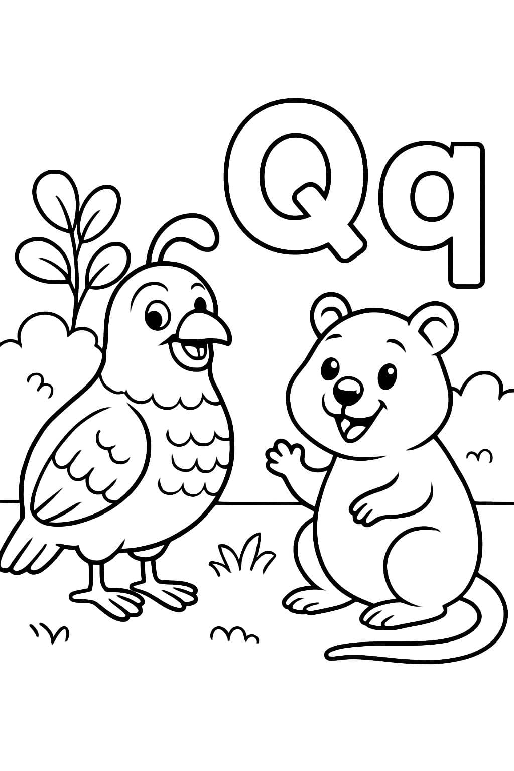 Der Buchstabe Q und der Buchstabe q mit einem Wachtel und einem Quokka