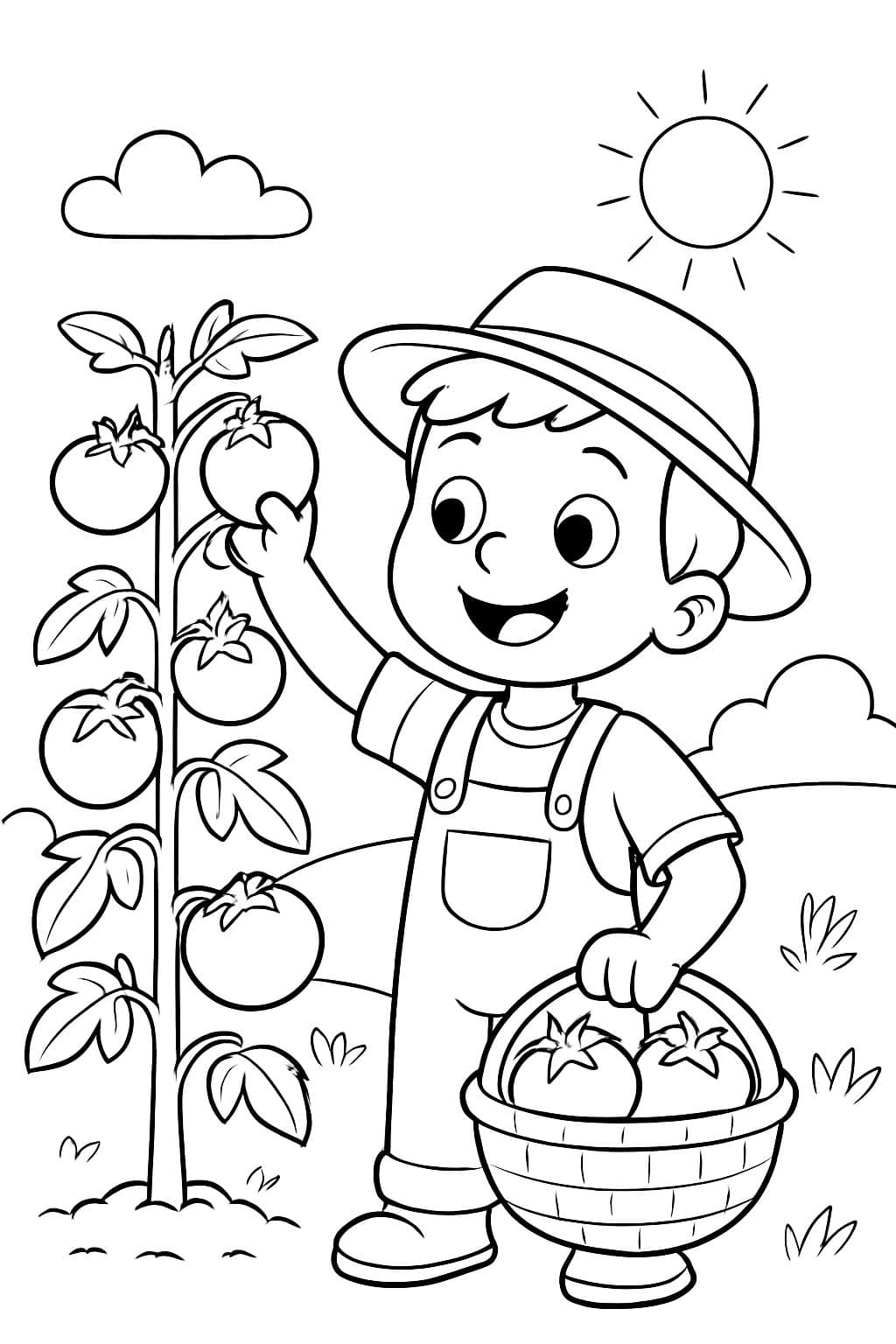 ein Bauernkind erntet Tomaten von einem Tomatenpflanzen.