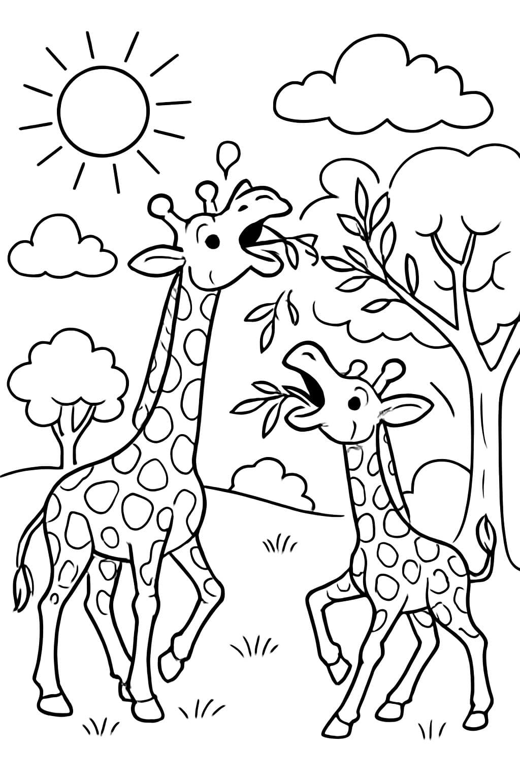 deux girafes mangeant des feuilles avec des arbres au soleil