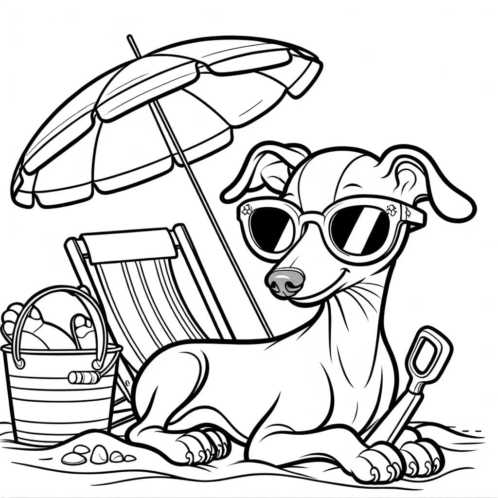 Italian greyhound puppy lounging on the beach with sunglasses