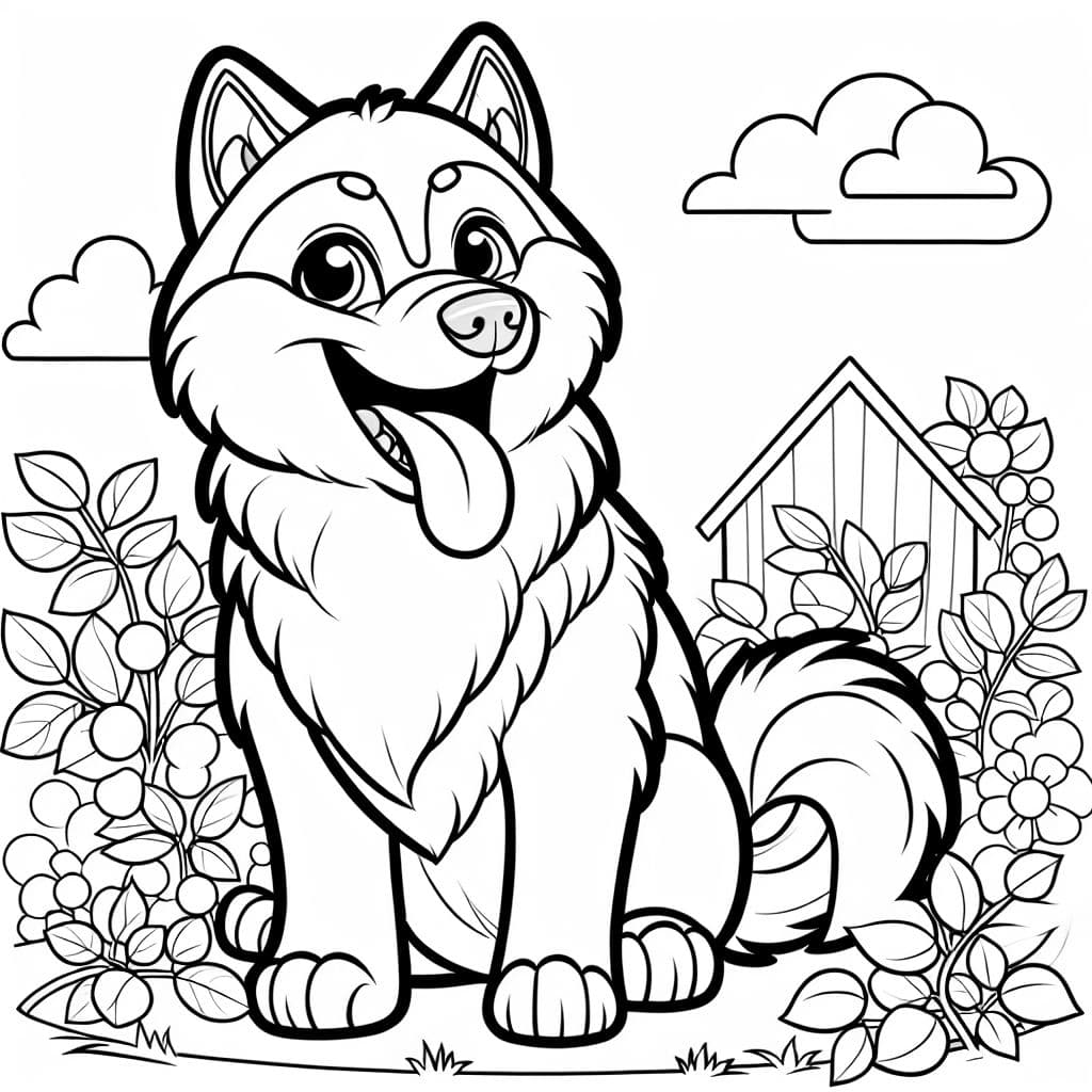 a siberian husky with its tongue sticking out