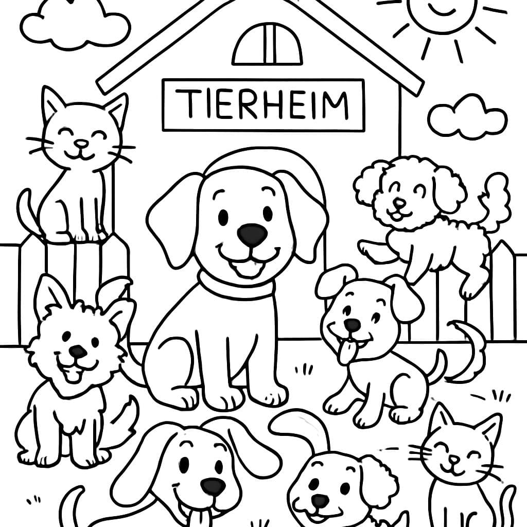 Ein Tierheim mit ganz vielen Hunden und ein paar Katzen