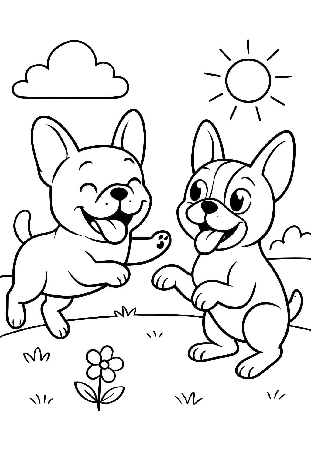 Ein französischer Bulldogge spielt mit einem Boston Terrier.