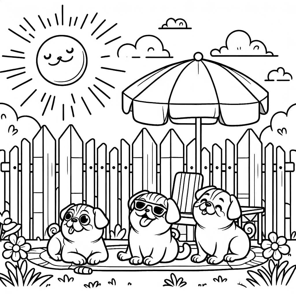 Three pugs basking in the sun in the backyard