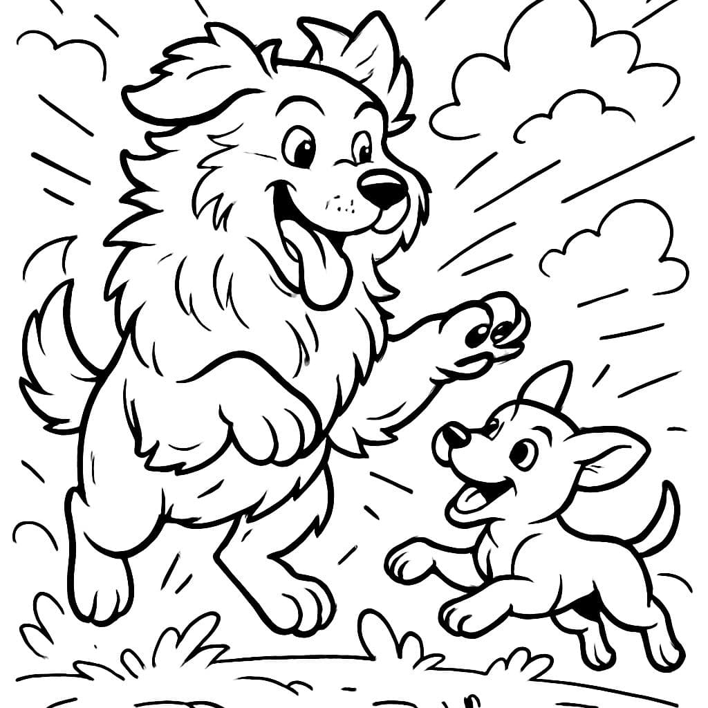 ein flauschiger großer Hund und ein kleiner Hund spielen