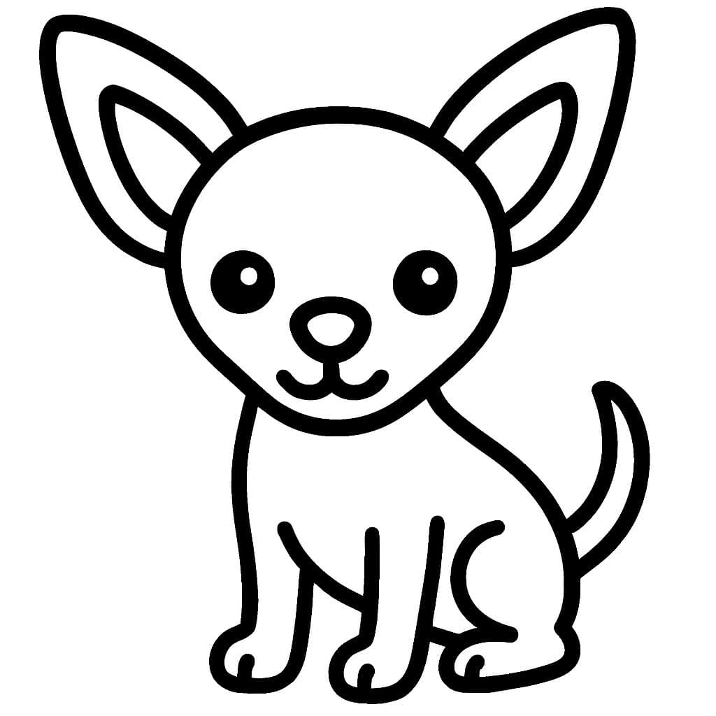 Chihuahua con nariz puntiaguda y orejas grandes