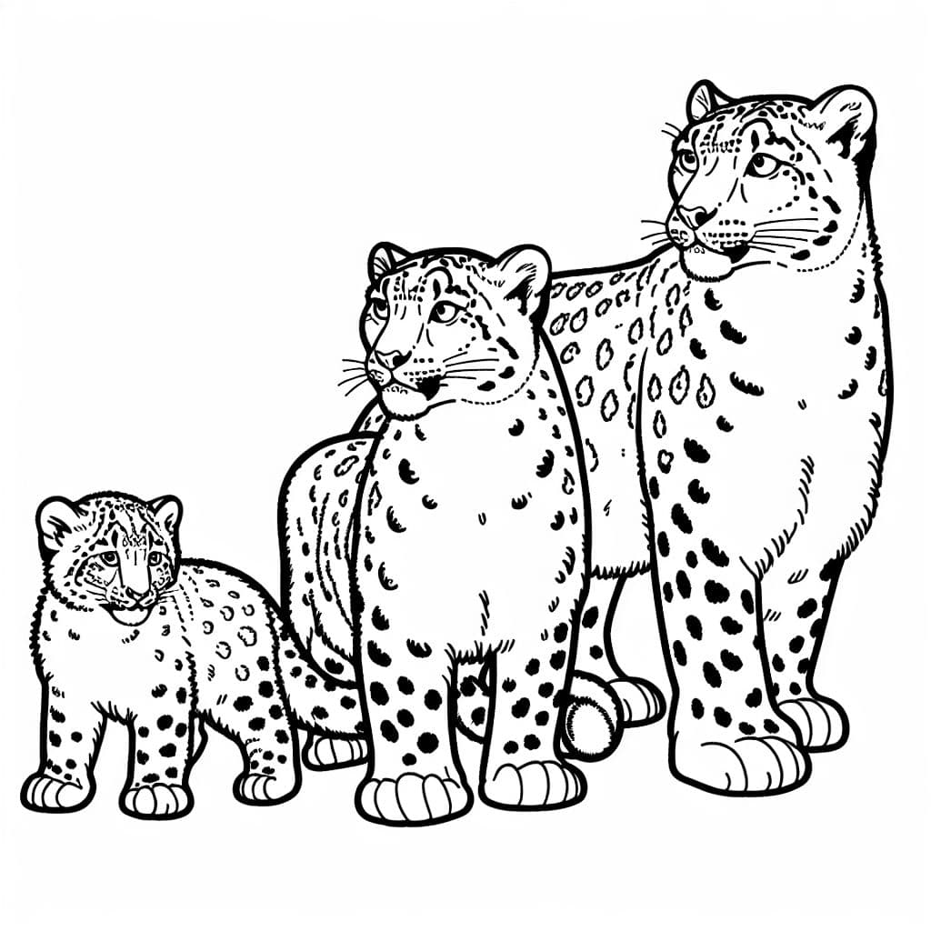 4 leopardos de las nieves. Papá, mamá, hija y bebé