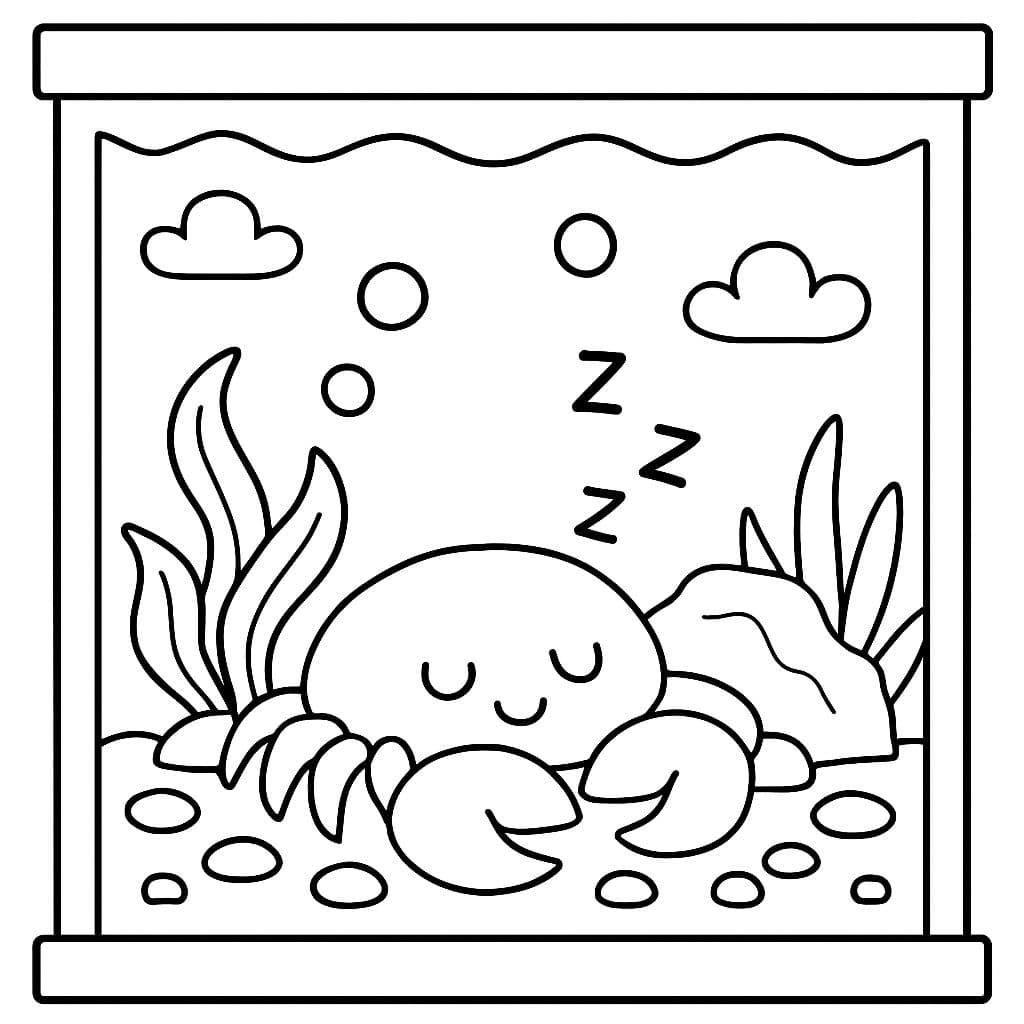 un pequeño cangrejo durmiendo dentro de un acuario