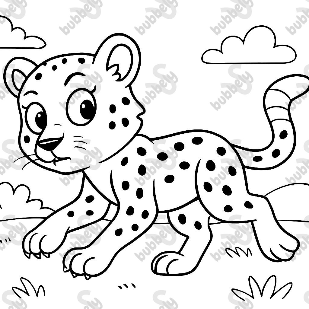 Girl cheetah running and hunting being cautious.