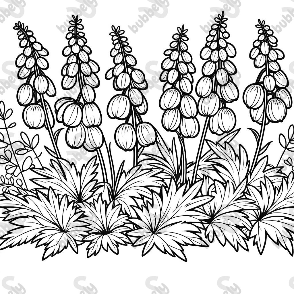 Art linéaire de la plante Aconitum napellus Art linéaire de la plante Aconitum napellus