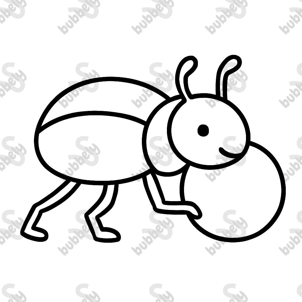 Dung Beetle Dung Beetle