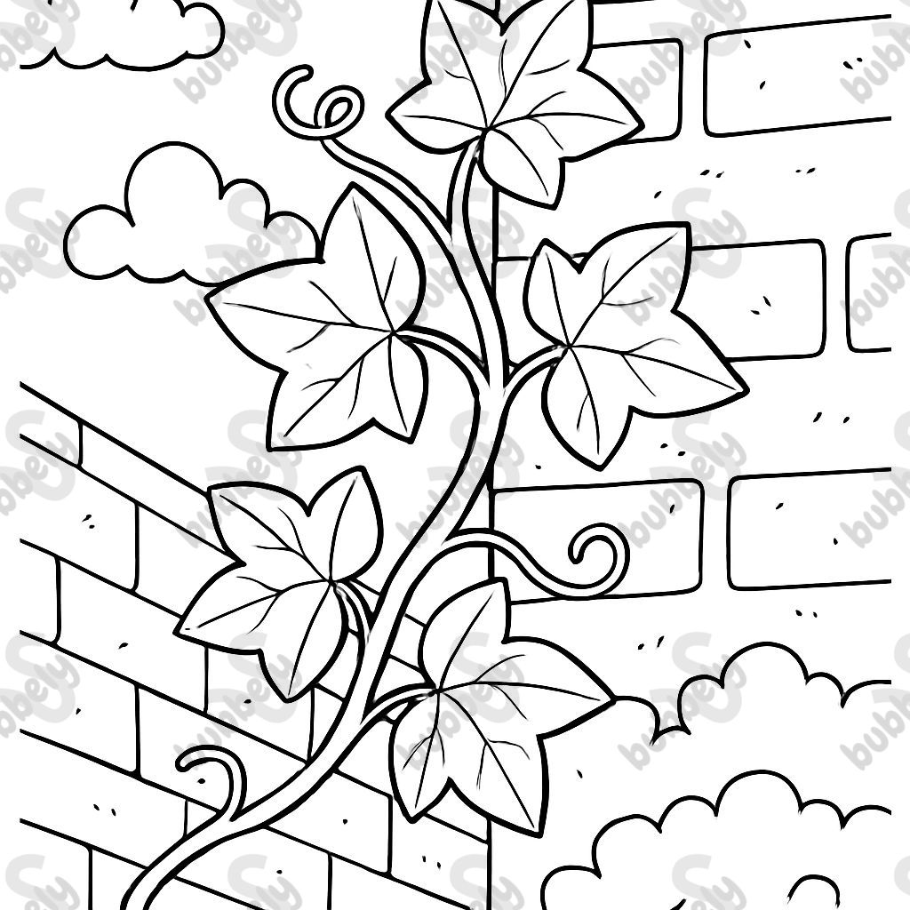 a corner ivy vine a corner ivy vine